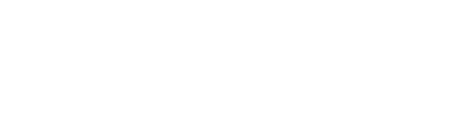 Master Brisa