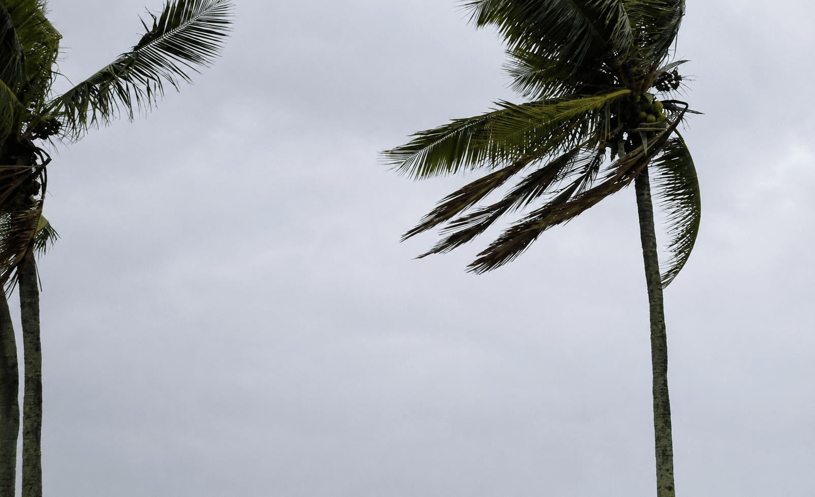 Vendaval deixa mais de 10 cidades de Goiás em alerta, diz Inmet
