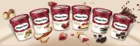Häagen-Dazs foi criada por jovem que começou vendendo sorvete em carroça, na periferia de Nova York; conheça a história